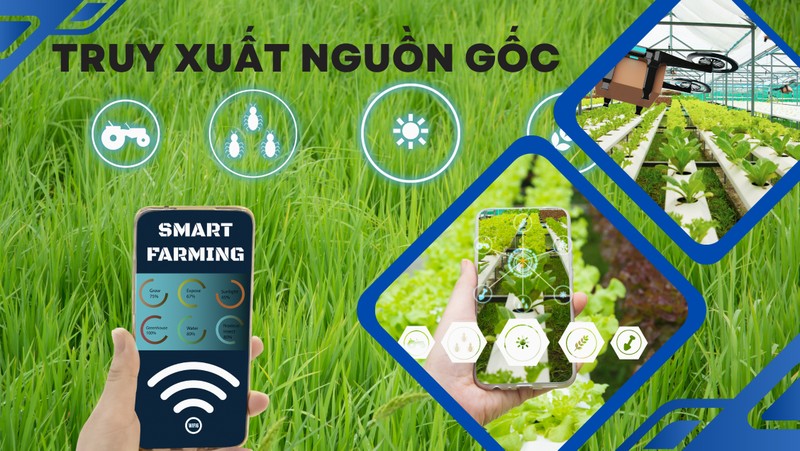Làm sao để ăn sạch, uống ngon, dùng hàng chính hãng? Bài 2- Thực tiễn truy xuất nguồn gốc ở Mỹ và EU