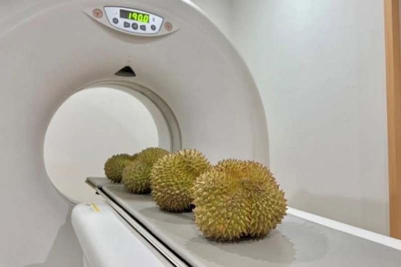 thai lan may quet sau rieng.jpg