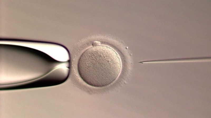 phuong phap thu tinh ICSI.jpg