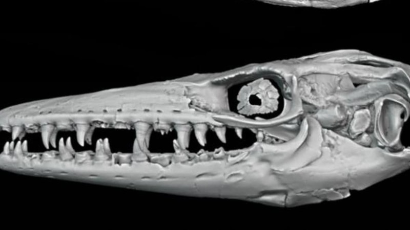 mo hinh 3D cua bo sat co dai.jpg