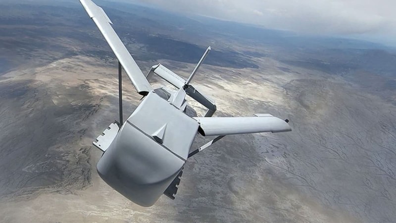 robot chau chau - DZYNE.jpg