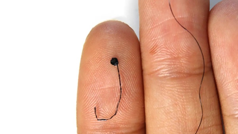 dien cuc nhu soi toc - IE.jpg