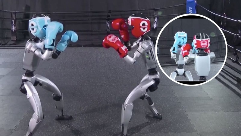 Robot của công ty Unitree Robotics trình diễn kỹ năng quyền anh đối kháng. Ảnh: IE