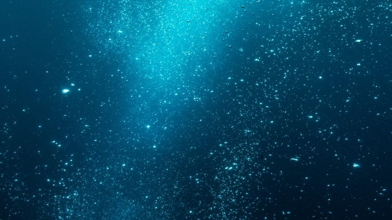 Đáy biển - Getty Images.jpg