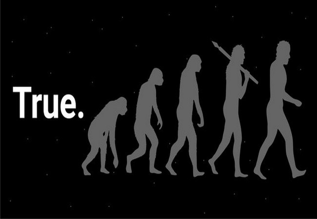 Ảnh Business Insider