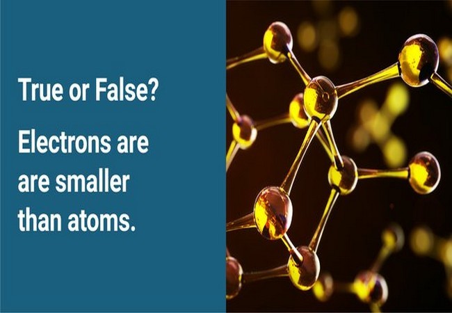 Ảnh Business Insider