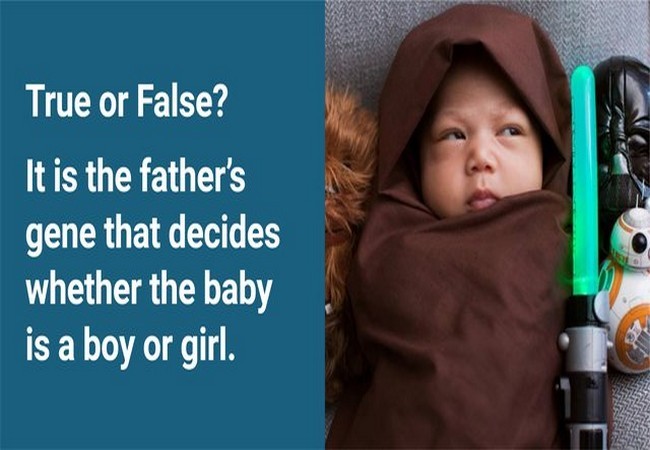 Ảnh Business Insider