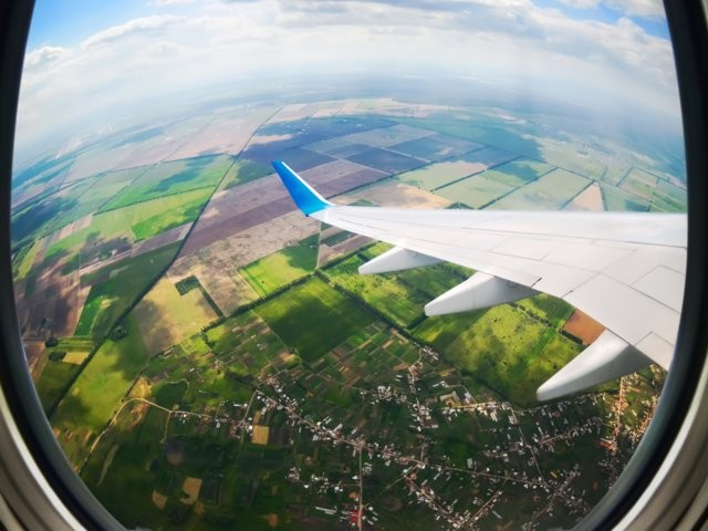 Ảnh Shutterstock Ảnh Shutterstock