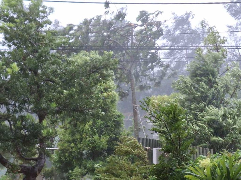 Bão đổ bộ trực tiếp vào Cô Tô gây mưa lớn, gió giật mạnh cấp 11, nhiều cây cối gãy đổ1.jpg