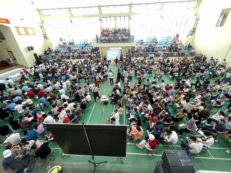 Nhiều người tham gia phiên đấu giá tại Thanh Oai, Hà Nội, hôm 10/8.