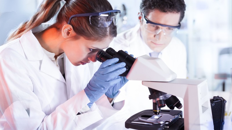 Nghị định 231/2025/NĐ-CP mở lối cho nhân tài trong khoa học, công nghệ và chuyển đổi số quốc gia