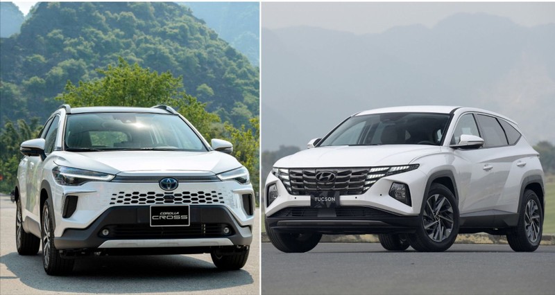 Thư viện 2 Hình ảnh (5).jpg