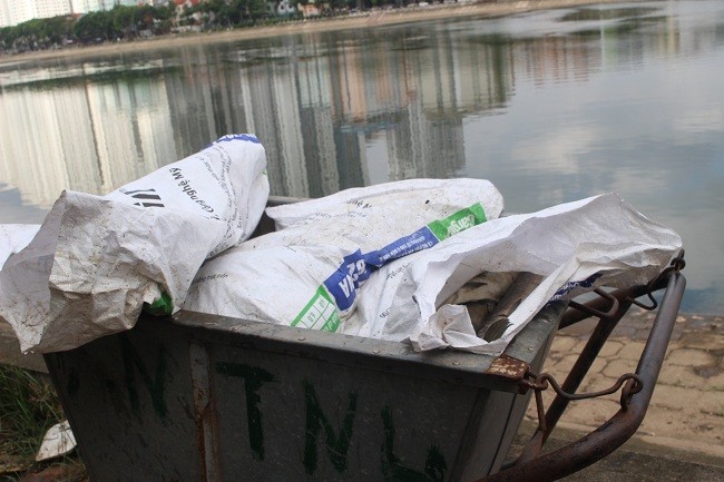 Số cá chết đã lập biên bản và chuẩn bị đưa đi tiêu hủy.