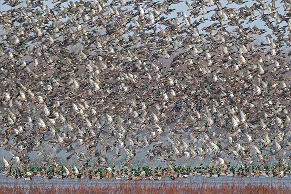 Nước Mỹ qua những bức ảnh từ USA Landscape Photographer 2016 ảnh 4