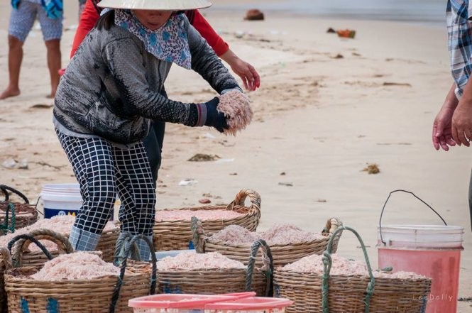 Ảnh ướp ruốc bằng hóa chất -Ảnh: Lê My