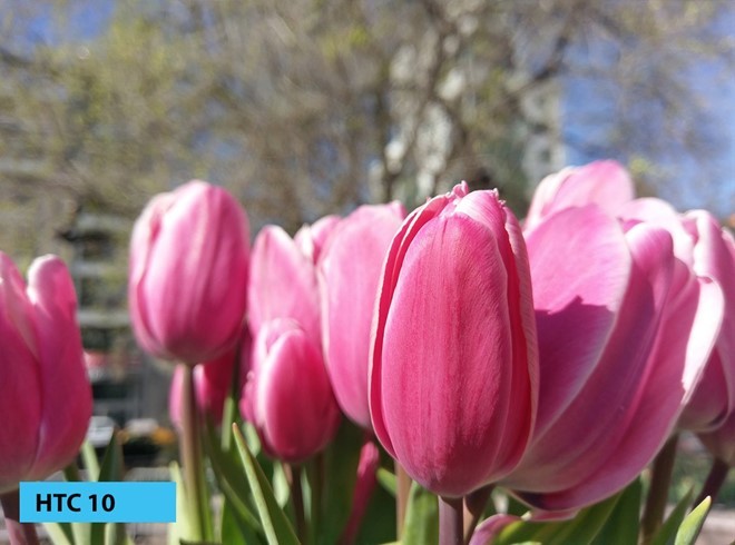 Camera trên smartphone đã đạt đỉnh ảnh 1 Camera trên smartphone đã đạt đỉnh ảnh 1