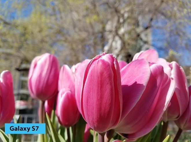 Camera trên smartphone đã đạt đỉnh ảnh 2 Camera trên smartphone đã đạt đỉnh ảnh 2