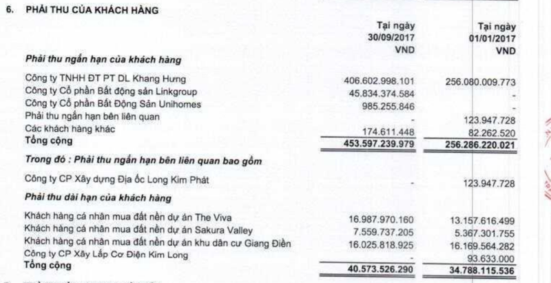 Những điều trông thấy từ BCTC mà LDG vừa công bố… ảnh 1