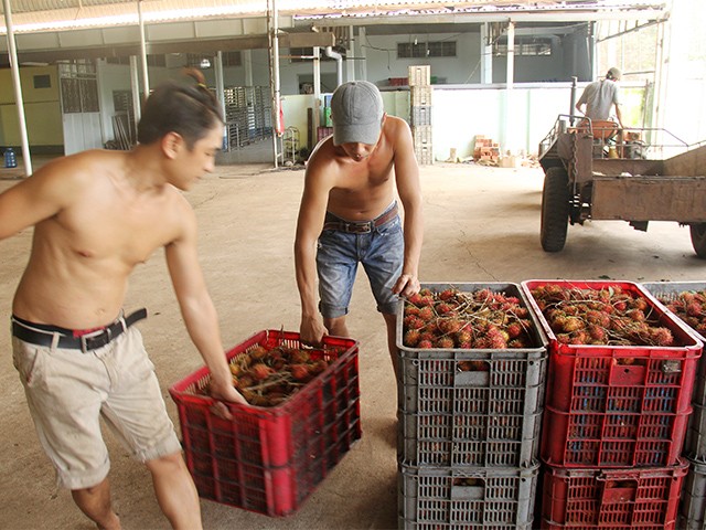 Nhà máy hiện nay ở Gia Kiệm của bà Trần Ngọc Sương đang tạo việc làm thường xuyên cho hàng trăm công nhân địa phương.