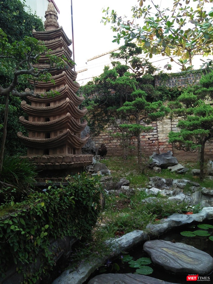 Một góc đẹp khác trong khu vườn của nghệ nhân Phạm Thế Anh.