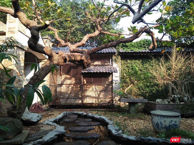 Một khoảng không gian đẹp lôi cuốn trong khu vườn của nghệ nhân Phạm Thế Anh.