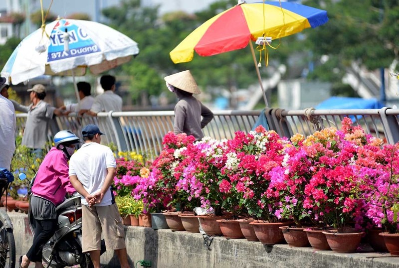 Điểm bắn pháo hoa giao thừa trên cả nước không thể bỏ lỡ