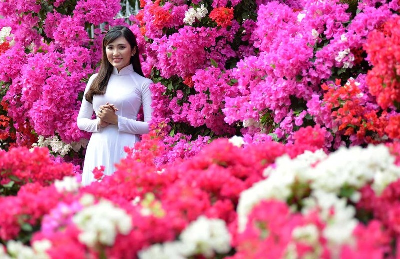 Điểm bắn pháo hoa giao thừa trên cả nước không thể bỏ lỡ