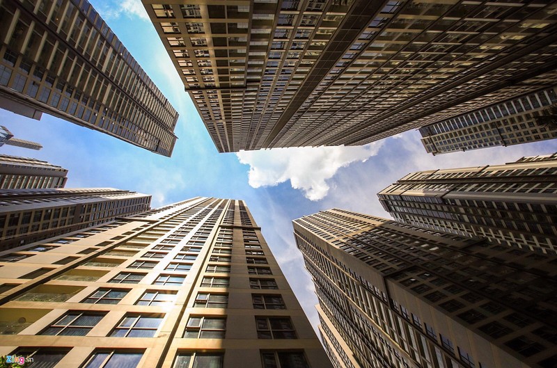 'Rung be tong' tai khu do thi xa hoa tren duong Nguyen Huu Canh hinh anh 7 