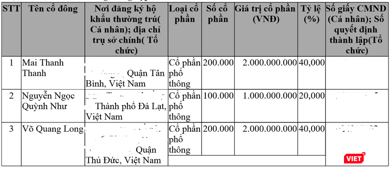 Vốn điều lệ ban đầu của Hướng Việt chỉ là 5 tỷ đồng, ở thời điểm thành lập (tháng 7/2009).