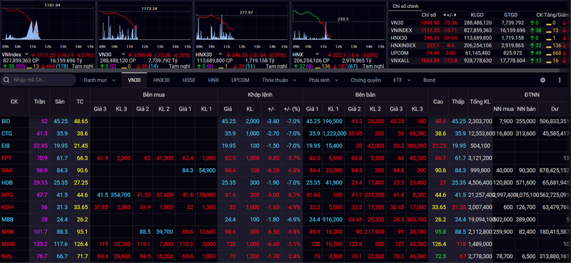 Trong rổ VN30 có tới 14 cổ phiếu giảm sàn(Ảnh chụp màn hình - Nguồn: SSI)