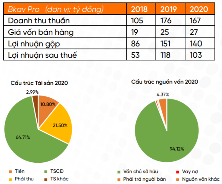 Một số chỉ tiêu tài chính của Bkav Pro (Nguồn: VNDirect)