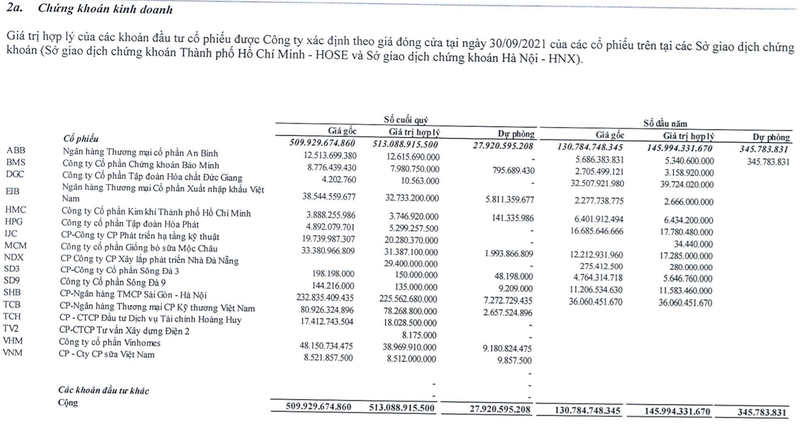 Danh mục đầu tư của NDN (Nguồn: BCTC quý 3/2021 của NDN)