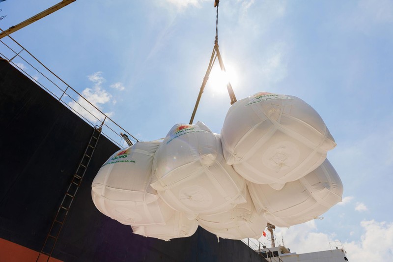 Giá gạo thế giới đang nóng lên, trong khi gạo VN vẫn đứng yên