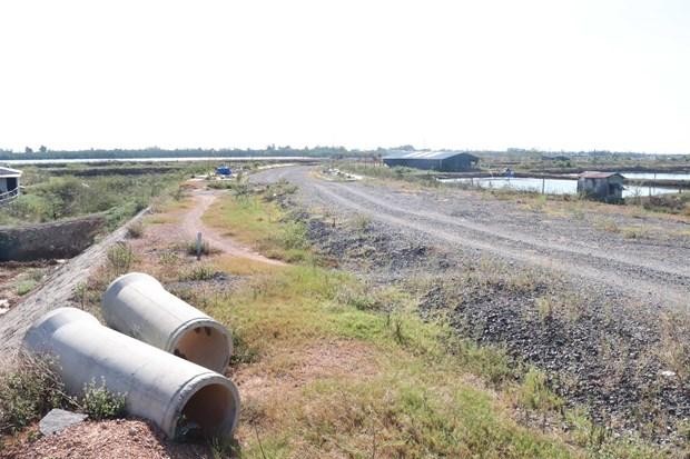 (Ảnh minh họa: TTXVN)