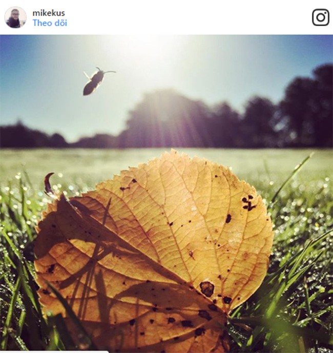 Mẹo chụp ảnh “chất phát ngất” trên Instagram ( Phần 1) ảnh 8