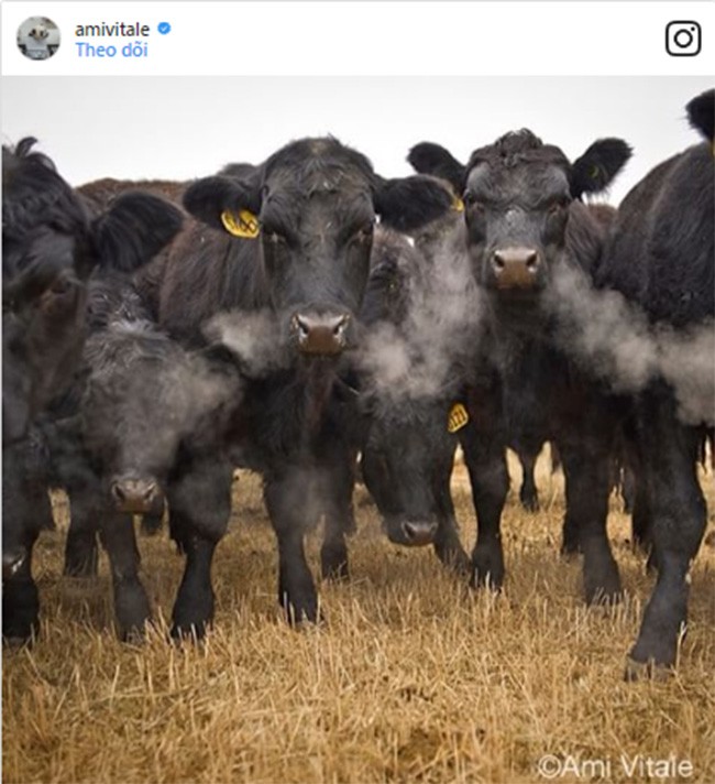 Mẹo chụp ảnh “chất phát ngất” trên Instagram ( Phần 2 ) ảnh 6