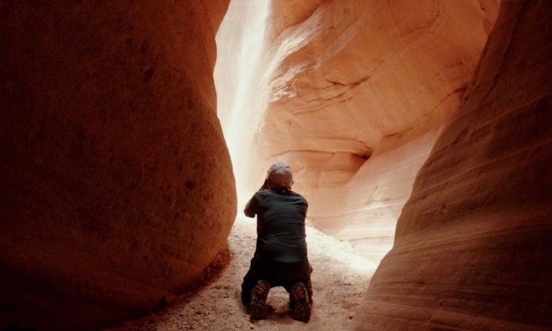 Cha đẻ của hình nền “tỉ view” Windows XP tái xuất ảnh 7