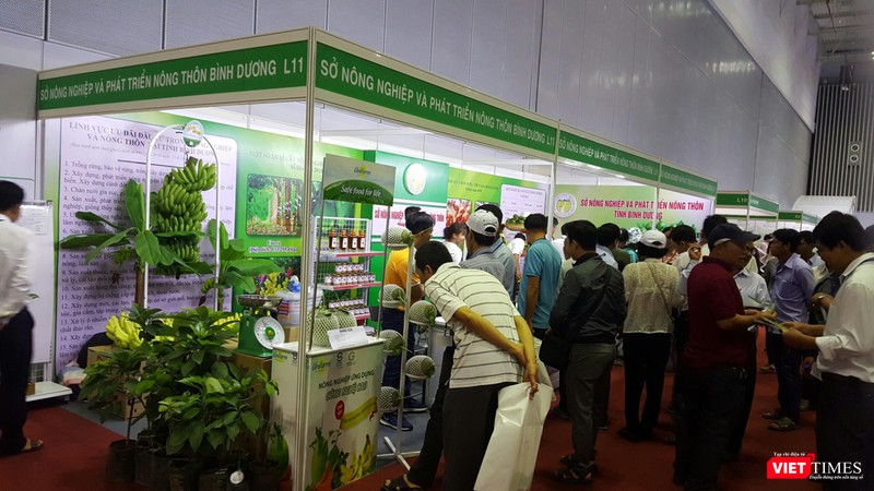 Chuối sấy thu hút người dùng 