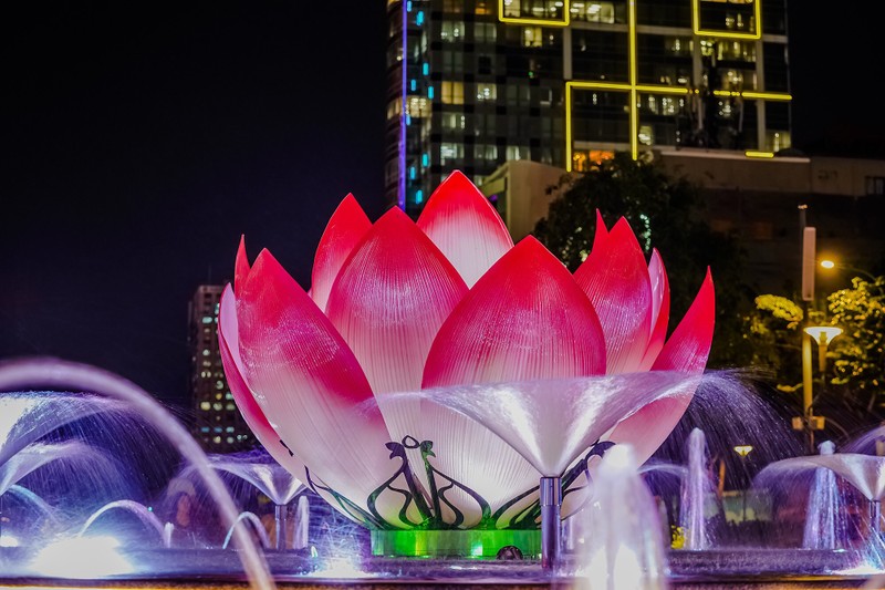 Biểu tượng hoa sen hồng