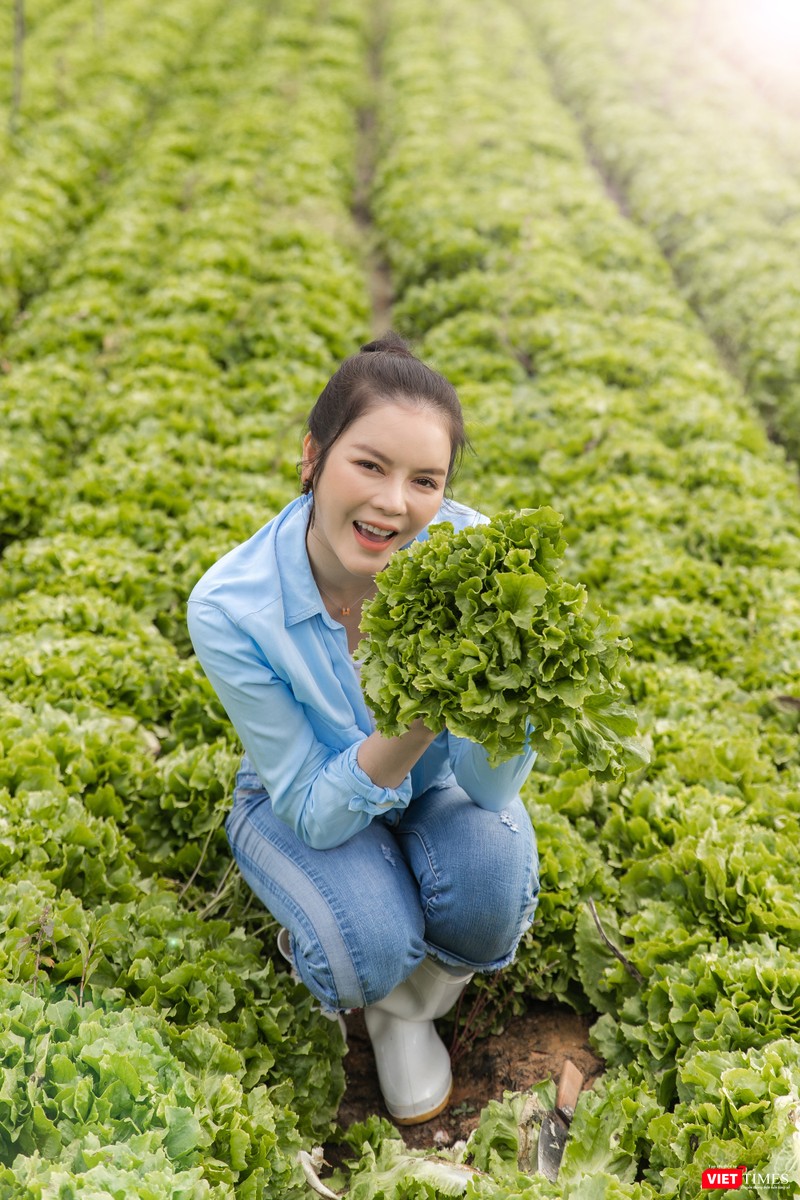 Thu hoạch rau sạch trong khu vườn xanh ngút mắt Thu hoạch rau sạch trong khu vườn xanh ngút mắt