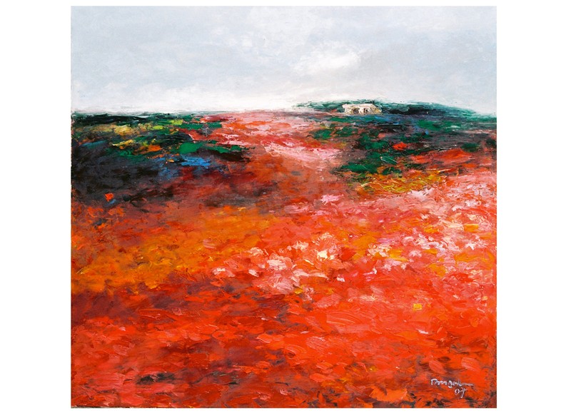 “Cánh đồng hoa đỏ” “Cánh đồng hoa đỏ”