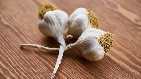 Ăn tỏi có chống được virus Corona