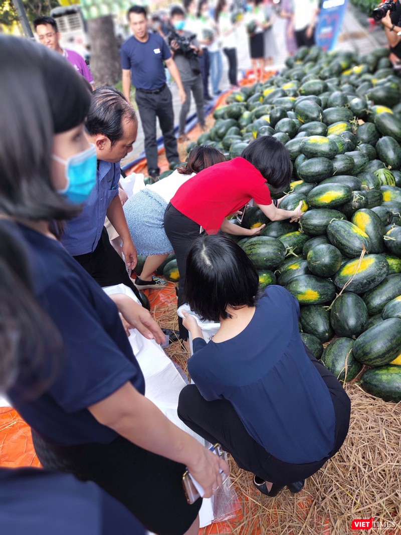 Toàn bộ 20 tấn dưa hấu được bán hết ngay trong chiều 11/2 Toàn bộ 20 tấn dưa hấu được tiêu thụ hết ngay trong chiều 11/2