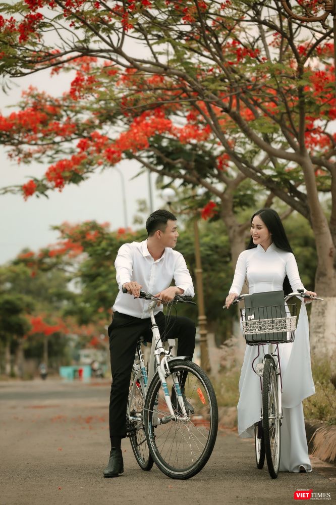 Ai cũng từng có một tuổi học trò thơ dại với những cánh phượng hồng ép khô