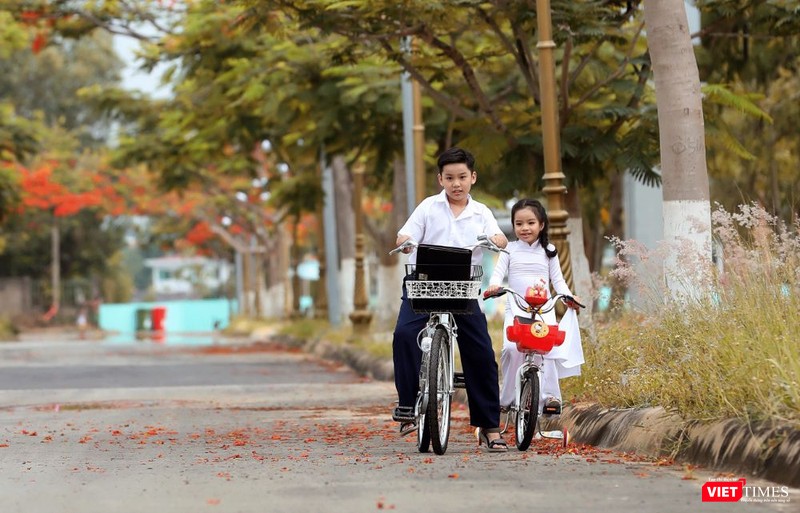 Những khoảnh khắc đáng yêu, mơ mộng trên con đường ngập cánh phượng đỏ