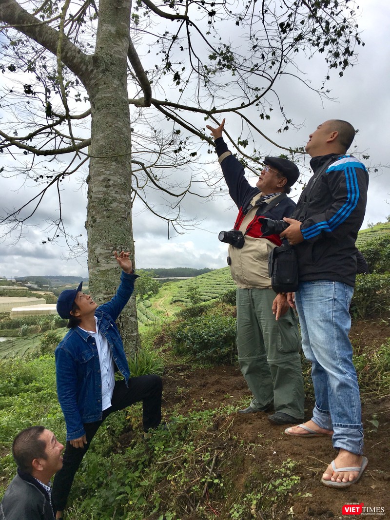 Cảnh phim Kiều@ mới được bật mí khá ít ỏi Cảnh phim Kiều@ mới được bật mí khá ít ỏi