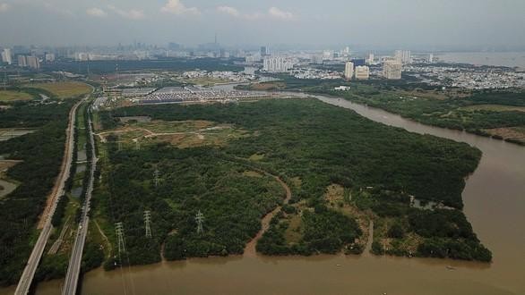 Khu đất 32 ha của Công ty Tân Thuận bán cho Công ty Quốc Cường Gia Lai ở xã Phước Kiển, huyện Nhà Bè, TP.HCM - Ảnh: TL