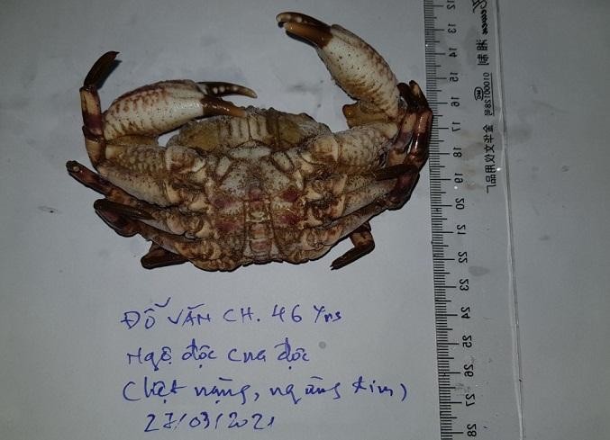 BS đưa lời khuyên người dân không nên ăn những loại cua dị thường BS đưa lời khuyên người dân không nên ăn những loại cua dị thường