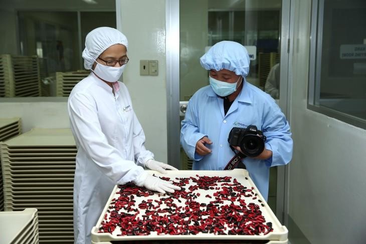 Tình trạng thiếu các thuốc thiết yếu, thuốc biệt dược, vật tư tiêu hao xảy ra ở nhiều bệnh viện. Ảnh: Nhã Chi Tình trạng thiếu các thuốc thiết yếu, thuốc biệt dược, vật tư tiêu hao xảy ra ở nhiều bệnh viện. Ảnh: Nhã Chi