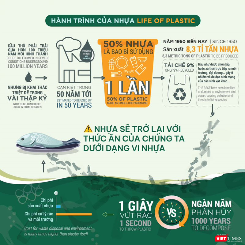 Hành trình của nhựa sẽ trở lại với thức ăn dưới dạng vi nhựa, đi vào cơ thể người